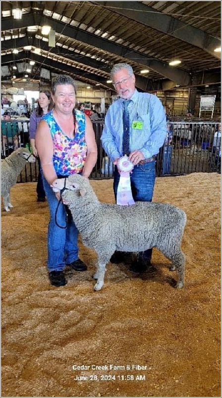 Romeldale Show  Custom Colored Critters, Correy McAtee with Judge Jacobsen. Photo: Amy Wolf.